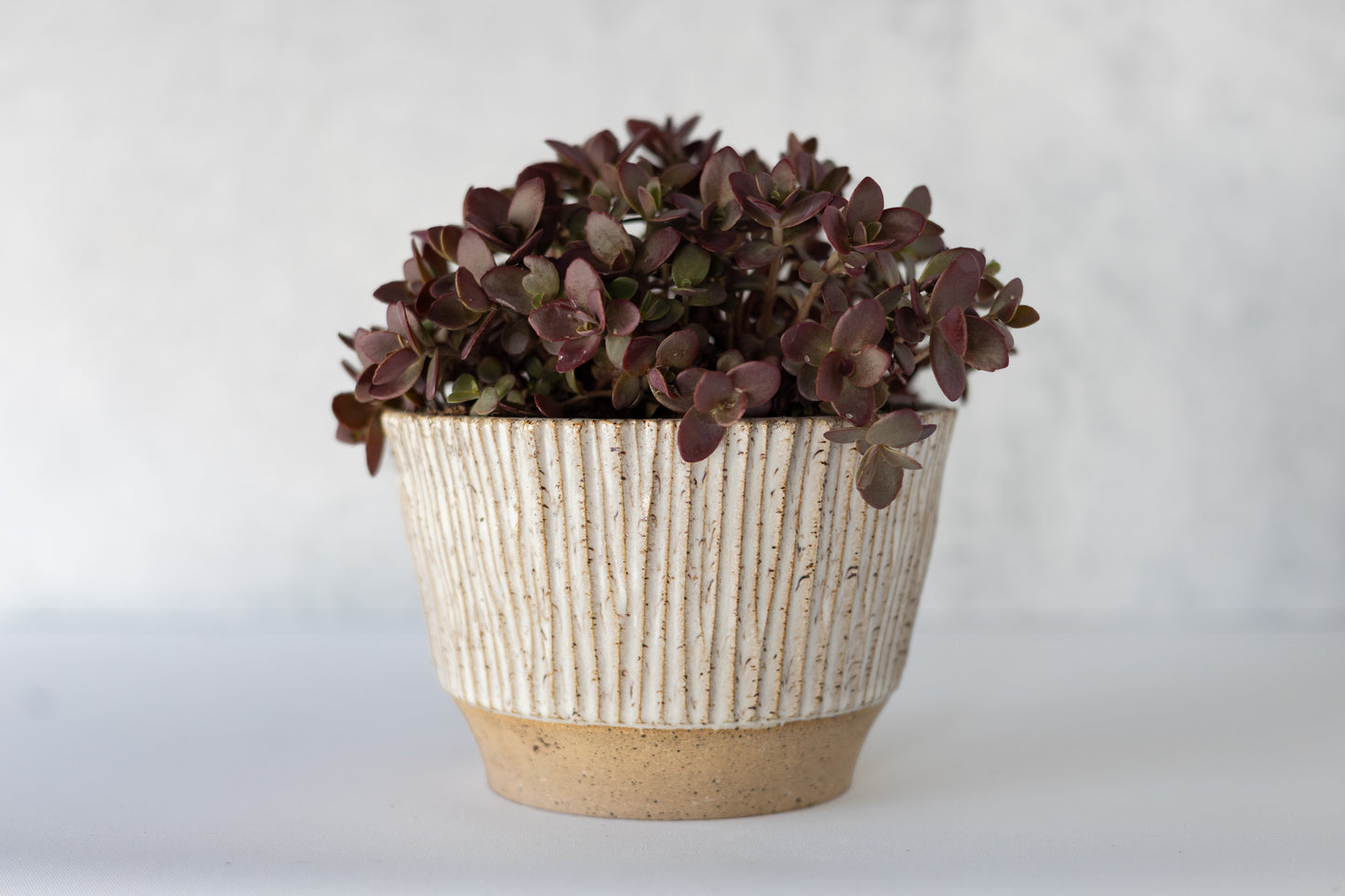 White Elevated Planter