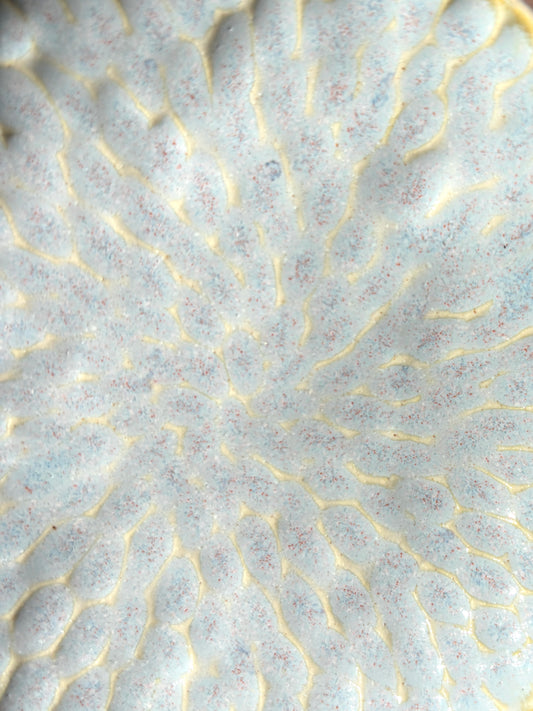 Perwinkle Carved Decorative Trinket Dish