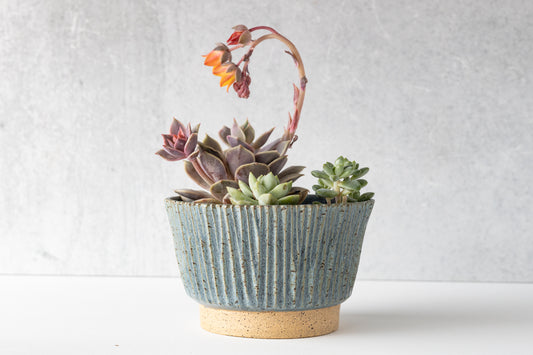 Ocean Elevated Planter