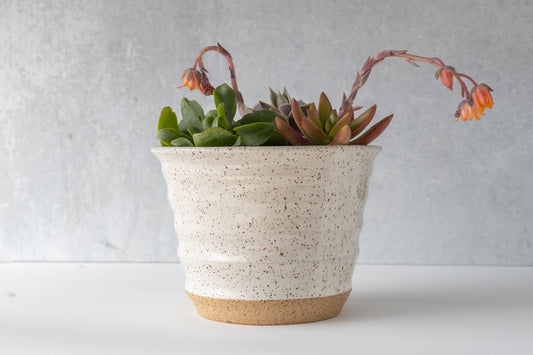 Speckled Farmhouse White Planter