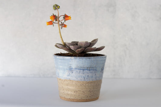 Sky Blue Planter