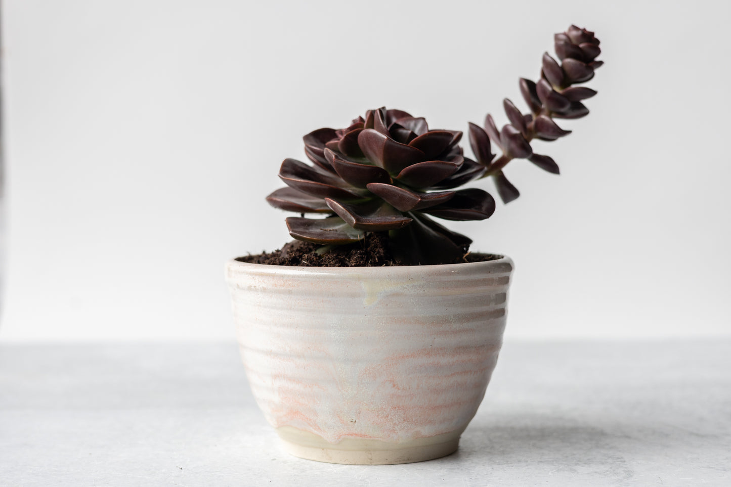 Blossom Small Planter