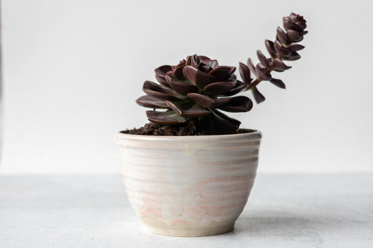 Blossom Small Planter