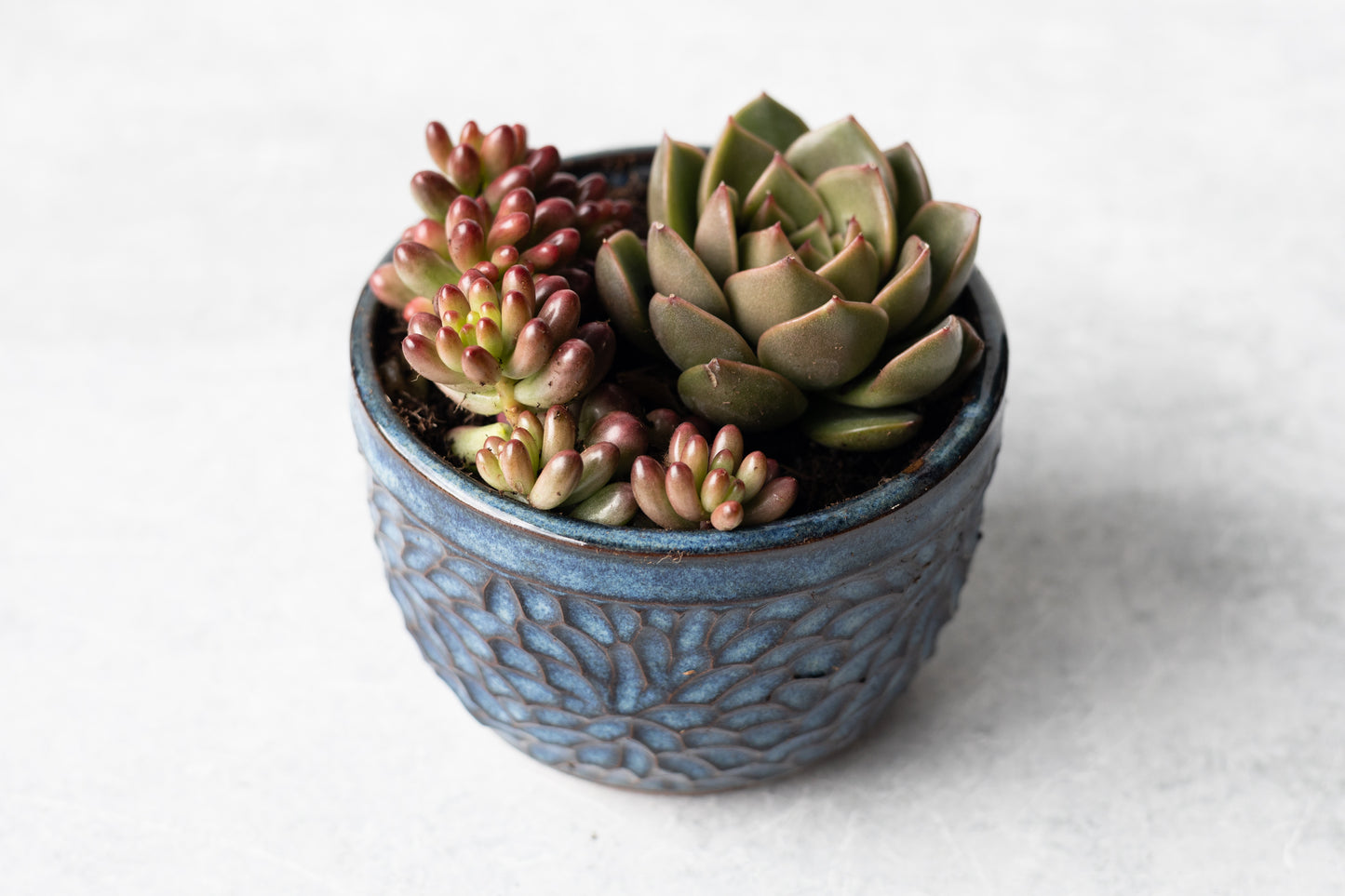 Deep Water Carved Planter