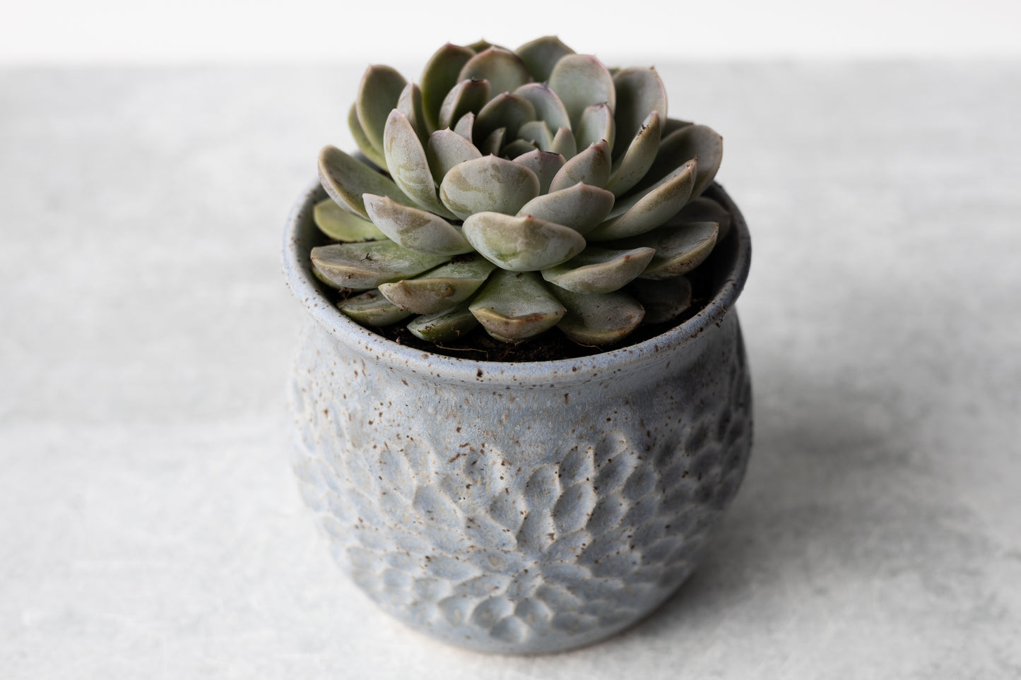 Periwinkle Round Carved Planter