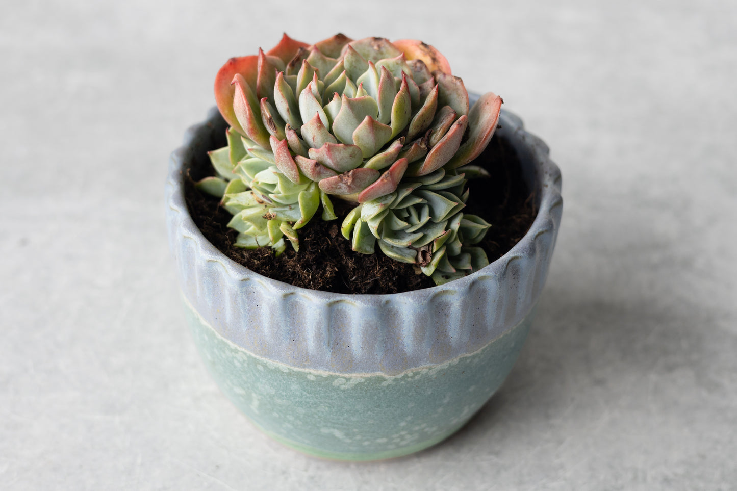 Cool Summer Carved Planter