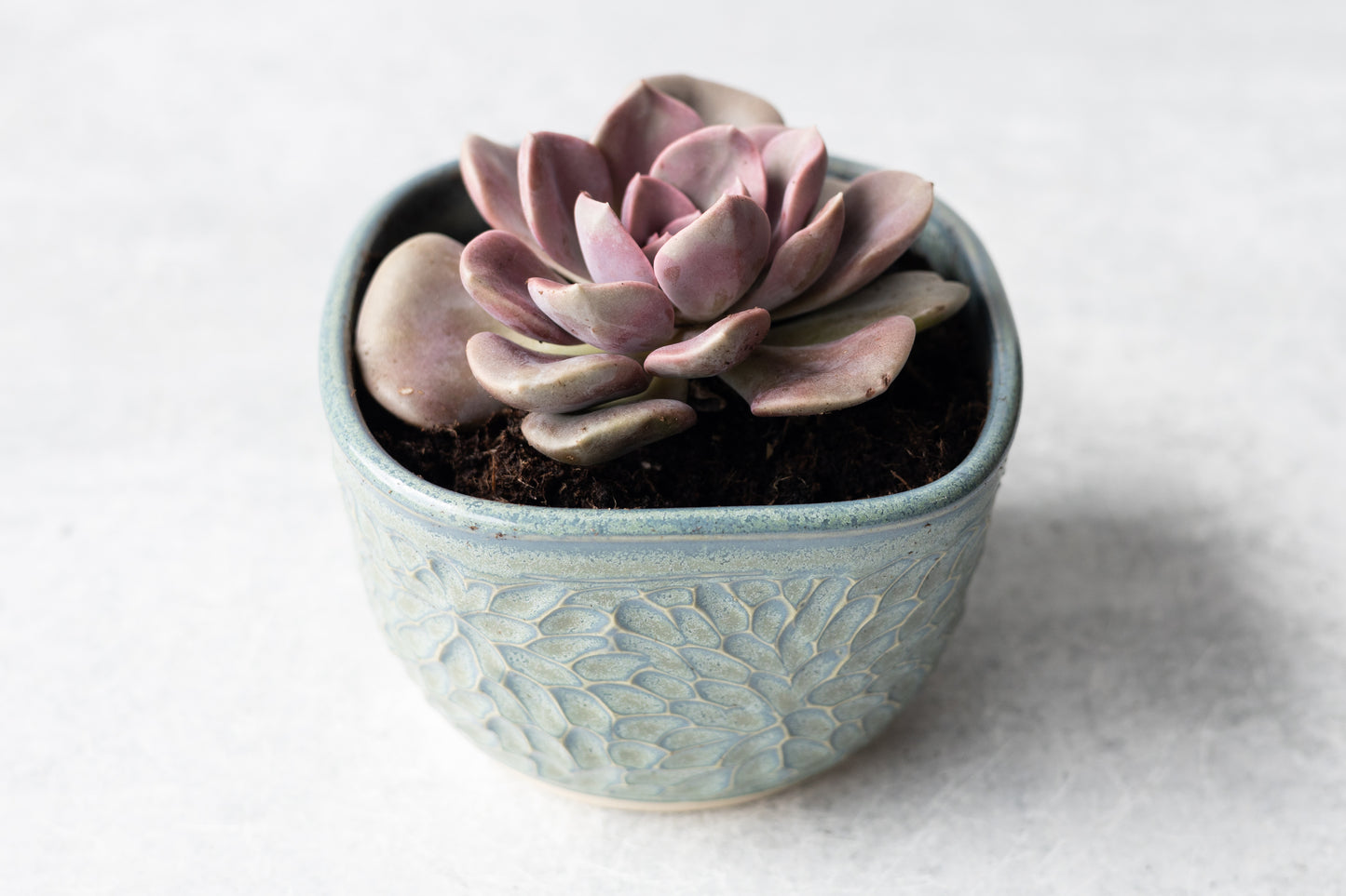 Frosted Blue Square Carved Planter