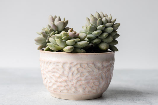 Blossom Carved Planter