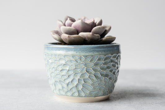 Frosted Blue Carved Planter