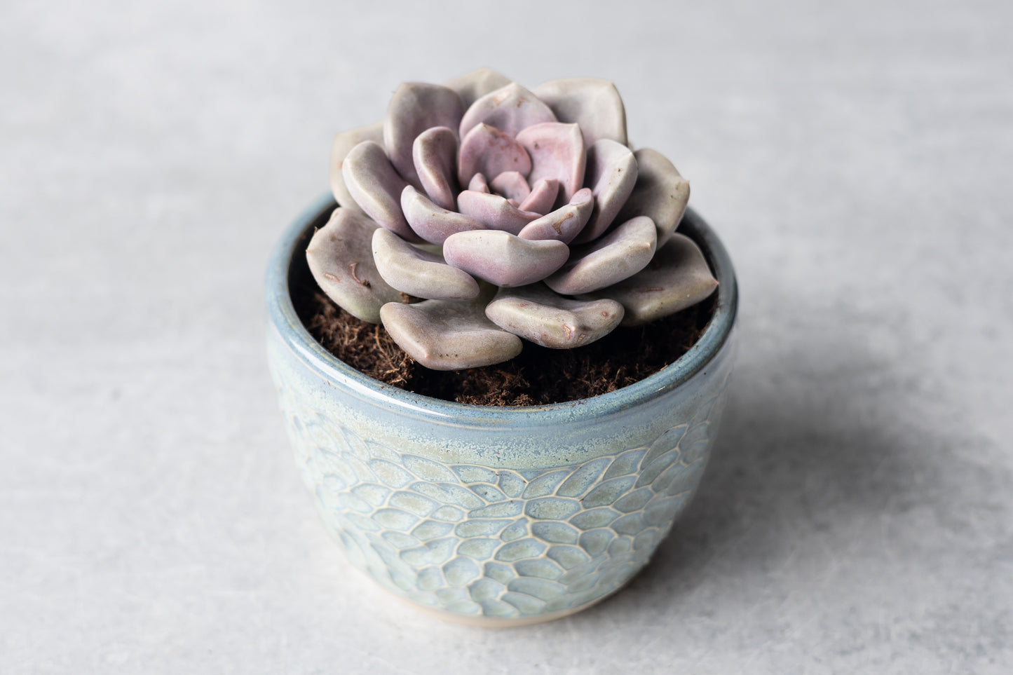 Frosted Blue Carved Planter