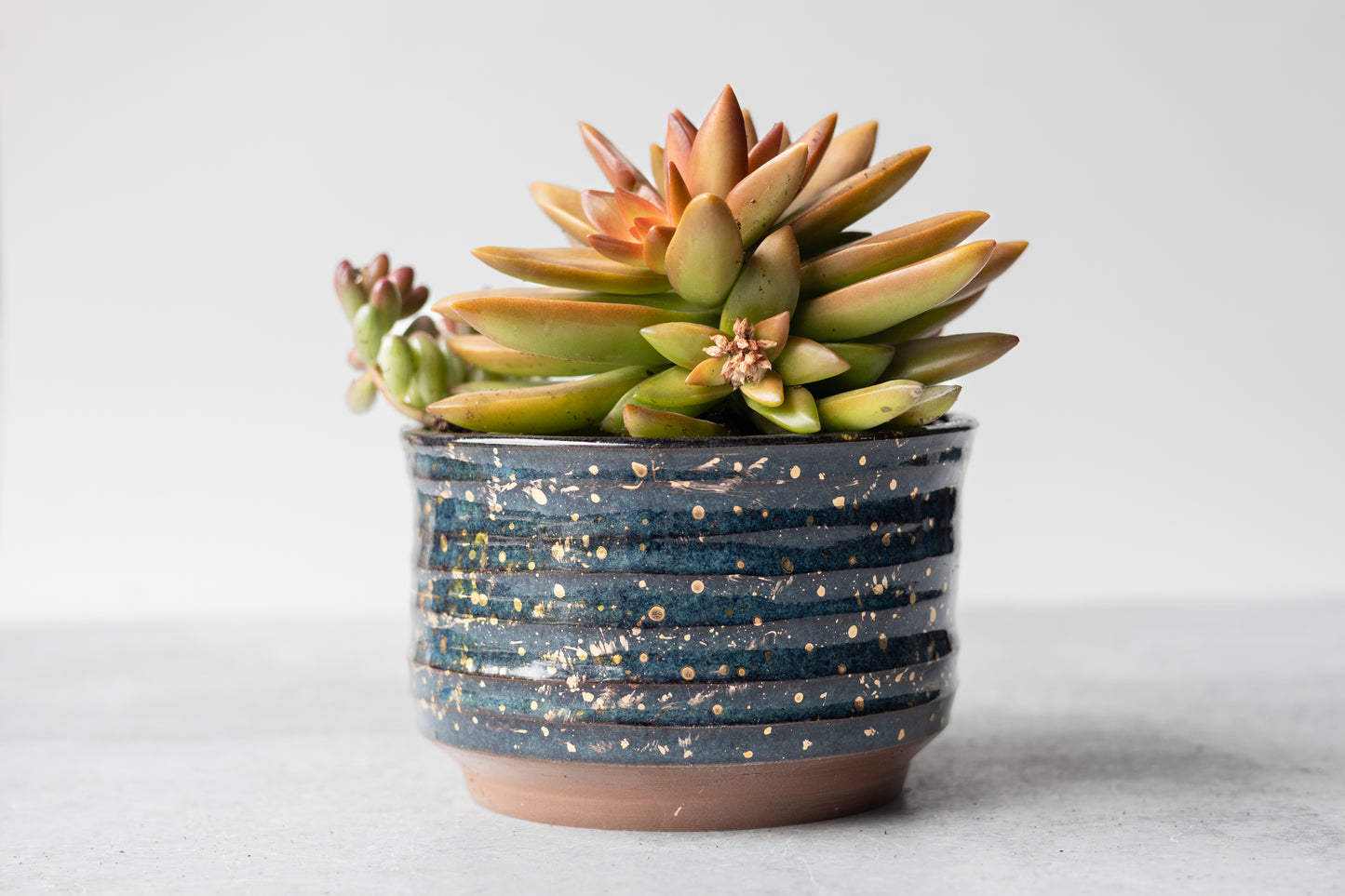 Starry Night Small Planter