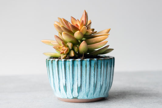 Lagoon Small Planter