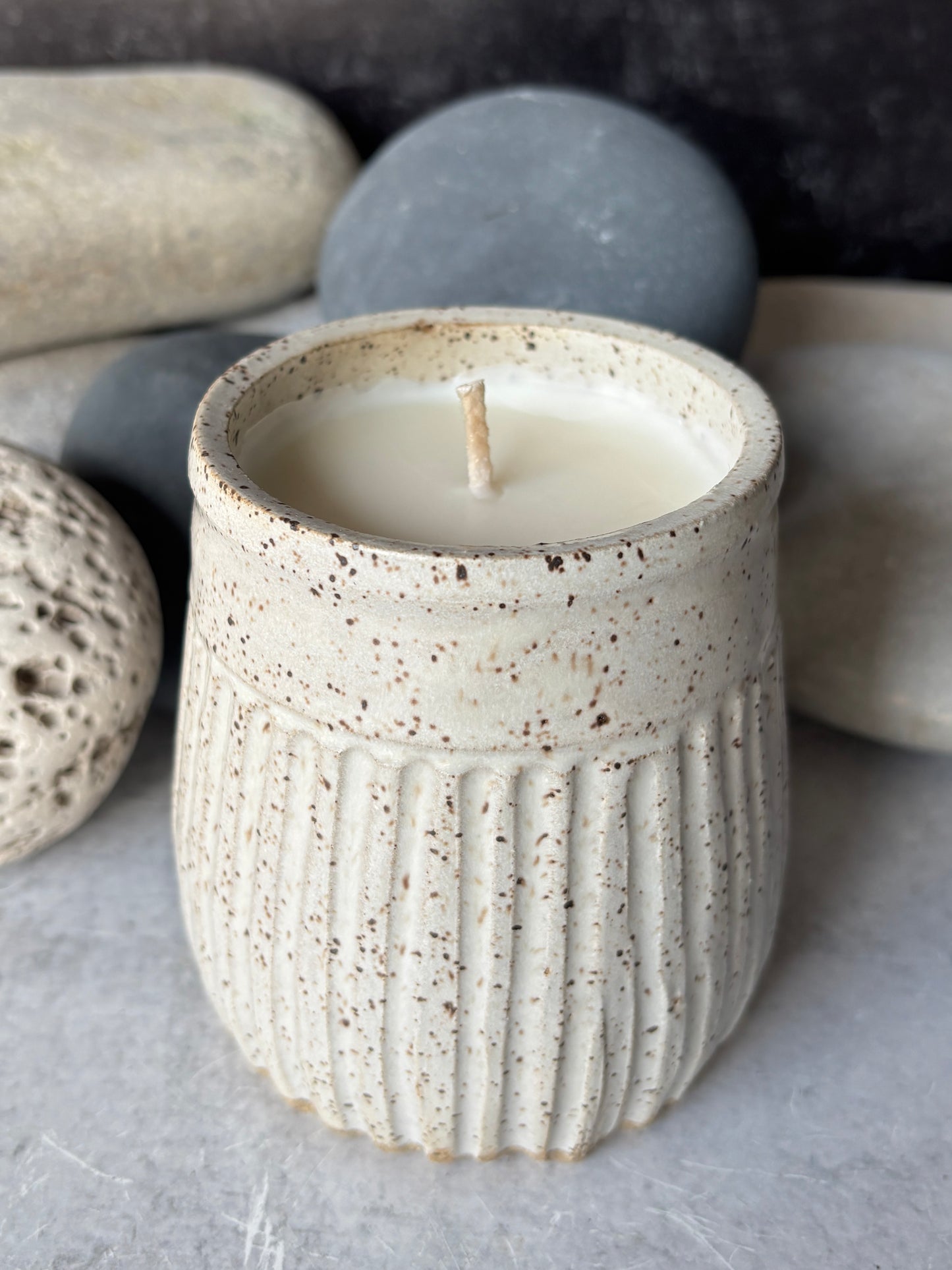 Speckled Farmhouse White Soy Candle