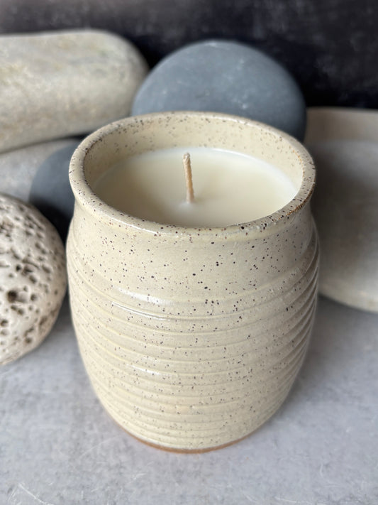 Speckled Farmhouse Warm White Soy Candle